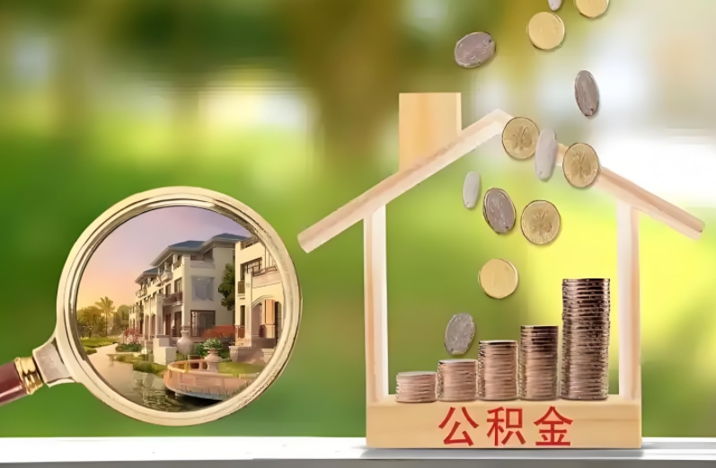 四川公积金代办公积金提取？找我们准没错！
